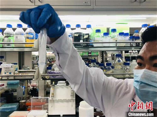 厲害了我的國！西北風真能喝飽了，中國首次實現二氧化碳人工合成淀粉